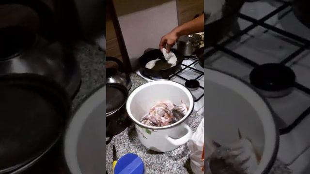 Become A YouTube Star