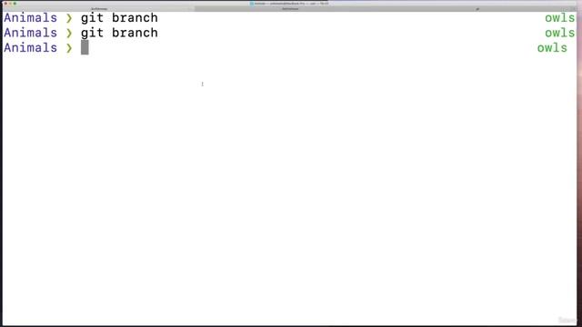 005 Viewing All Branches With Git Branch смотреть онлайн