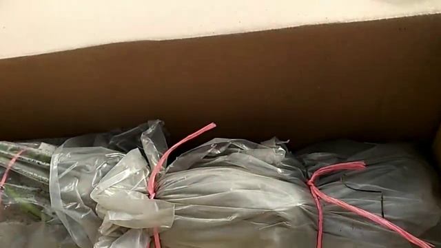 Саженцы роз от Naka-Noka и Шмотиной Надежды# смотреть онлайн