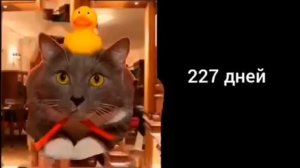 летние каникулы наступят через(мега расширенная версия лиц Лоткова)