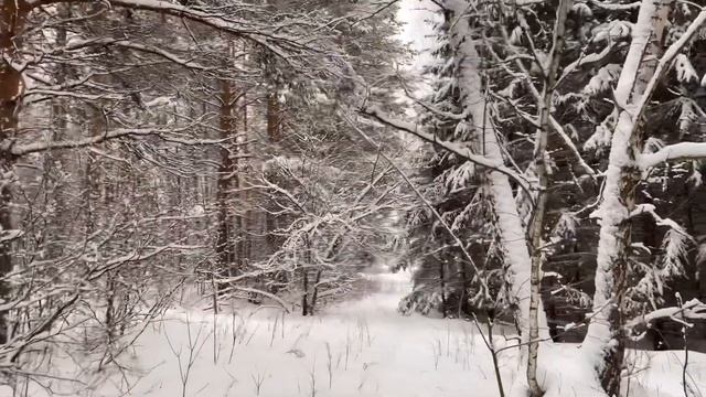 новогодние выходные 2023 ❤️ с новым 2023 годом ✨ смотреть онлайн