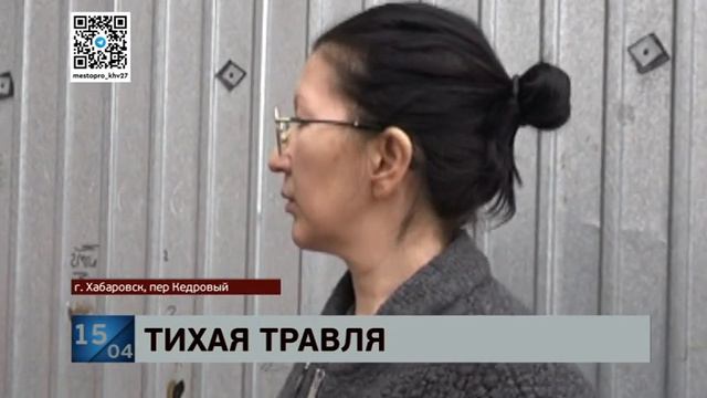 Неизвестный потравил беспризорных котов в Хабаровске смотреть онлайн