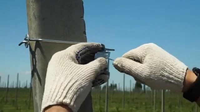 Монтаж хомута на бетонный столб в интенсивном саду. смотреть онлайн
