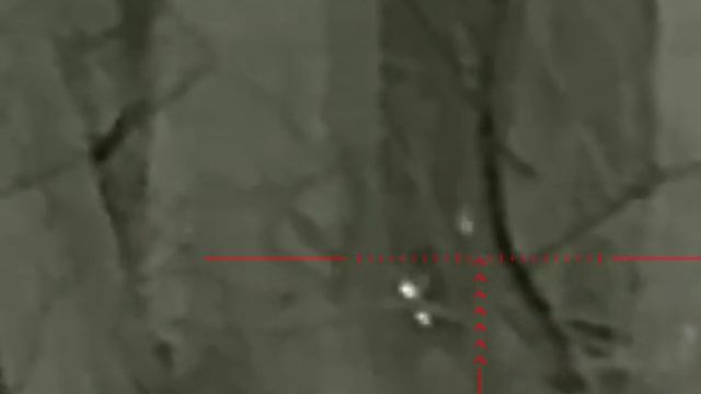 Охота в лесу на кабана с тепловизором iRay scp 19w смотреть онлайн