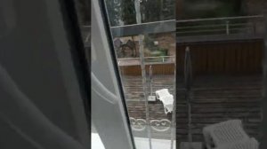 2022 честный  обзор номера в Санатории имени академика И.П. Павлова