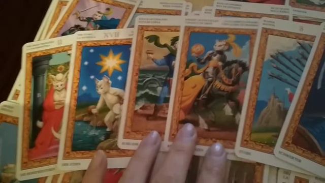 Колода ТАРО Белых Кошек ч.5 смотреть онлайн