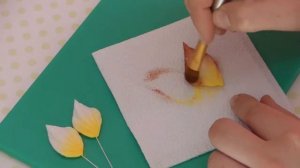 Бабочка из мастики