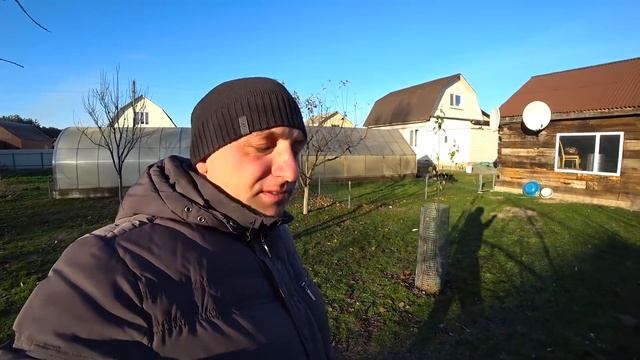 Гуси без сарая не замёрзнут//Отказался от кроликов