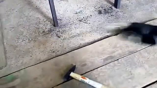 Циркулярка своими руками часть 2 смотреть онлайн
