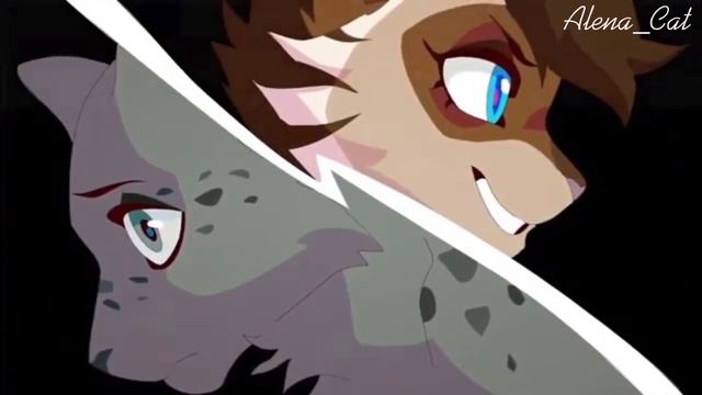 [Клип Коты Воители] - VooDoo😈 смотреть онлайн