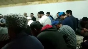 мавлид Арши