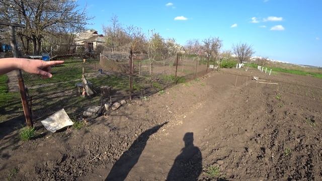 Посадка кукурузы способом Джексона, Что посадить на 20 сотках, Огород, Купили дом в деревне смотреть онлайн