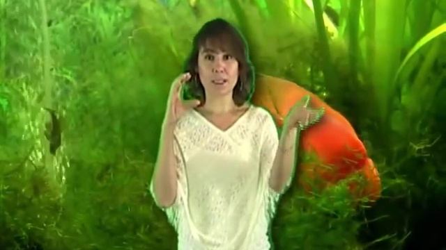 ХООПОНОПОНО: Результаты по Здоровью смотреть онлайн