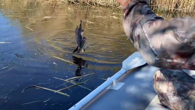 Рыбалка Приморско-Ахтарск День второй смотреть онлайн