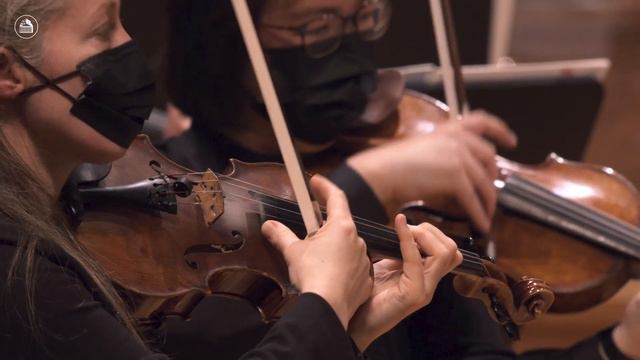 In the hall of the mountain king | Nordic Moods II смотреть онлайн