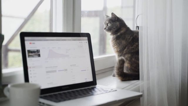 Keep Microsoft Teams status as ? ACTIVE | Best HACK to avoid Away ? and Offline ? смотреть онлайн