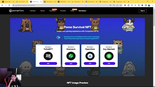 Pome Survival Companion Pet NFT смотреть онлайн