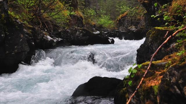 Kayaking Upper Winner Creek