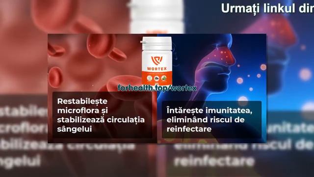 Wortex pt paraziti смотреть онлайн