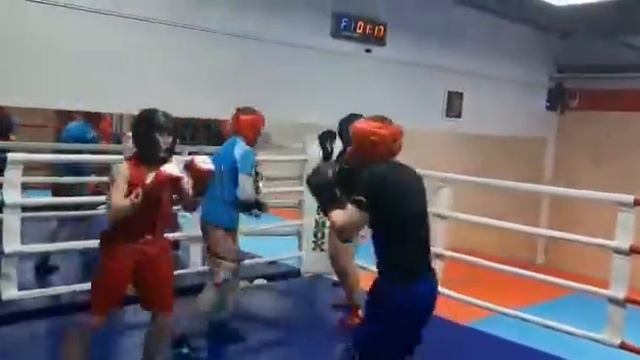 Спортивные будни в нашей школе бокса) смотреть онлайн