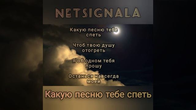 NETSIGNALA "Какую песню тебе спеть" смотреть онлайн
