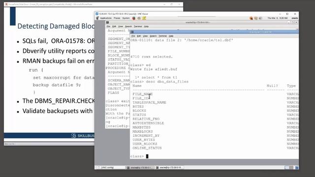 RMAM - Lesson 6 - Recovery from Block Corruption смотреть онлайн