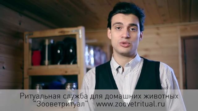 Zoovetritual кремация животных