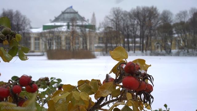 Практика создания художественного образа. Видео урок по фотографии 79