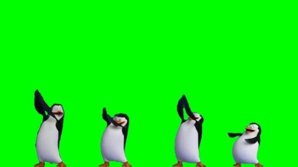 [Greenscreen] Dancing Penguins of Madagascar
