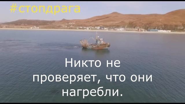 Вандалы Японского моря (драги на добыче моллюсков) смотреть онлайн