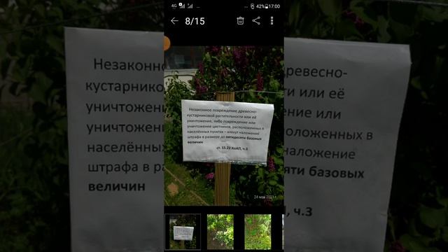 Создать цветник возле подъезда многоквартирного дома. Советы. смотреть онлайн