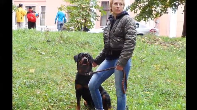 ПАМЯТИ НЮШЕНЬКИ смотреть онлайн
