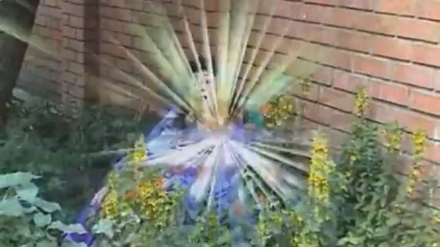 Памяти Любовь Деметер (Lubov' Demeter)