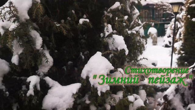 Зимние забавы 2021 студия Родники г. Ступино смотреть онлайн