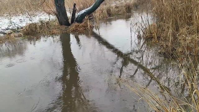 7 привычек уверенных в себе людей, которые делают их невероятно привлекательными. смотреть онлайн