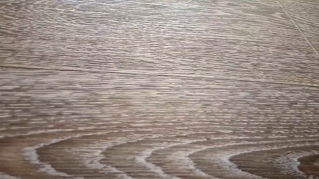 Форс Канаста 4 Линолеум Таркетт смотреть онлайн