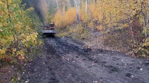 трелевка леса тдт55