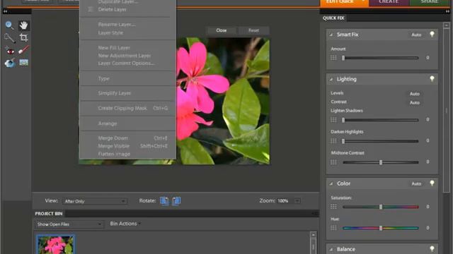 Photoshop Elements 9.0 Tutorial Edit Modes Adobe Training Lesson 3.1 смотреть онлайн