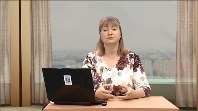 Социология / 2 лекция