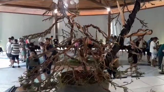 Junípero Blue alps смотреть онлайн