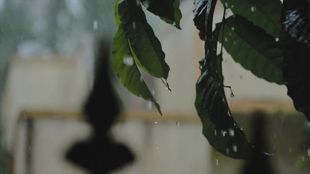 Успокаивающая Музыка Для Нервной Системы смотреть онлайн