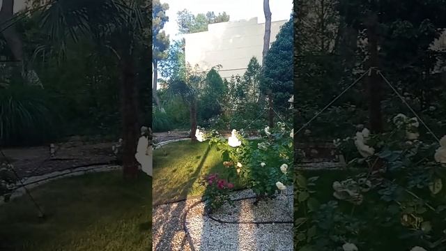 Слышали, как в рядом с собором соловьи поют?Это они от счастья. смотреть онлайн