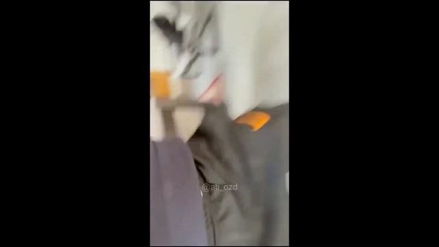 Mert abi abi 1 hour!!! смотреть онлайн