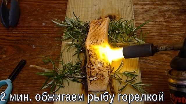 Семга на горелке: лучший рецепт семги смотреть онлайн
