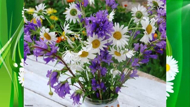 изумительные полевые букеты для любимых! смотреть онлайн