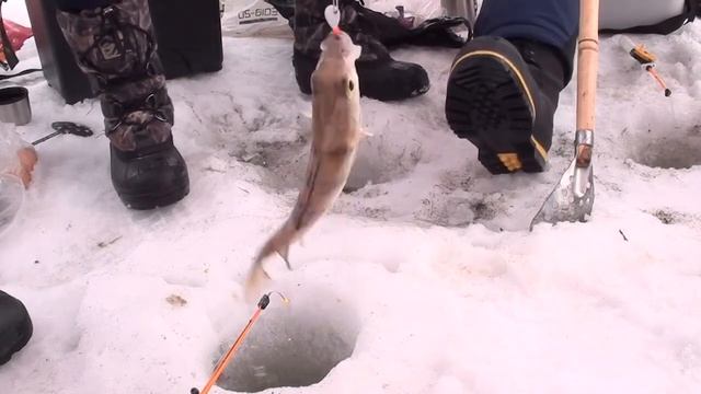 Весенняя рыбалка на севере Стофети и компания 2017 Fishing in the north of Russia смотреть онлайн