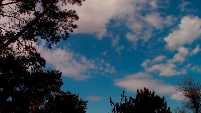 НИКТО НЕ ЗНАЕТ НАПЕРЁД... смотреть онлайн