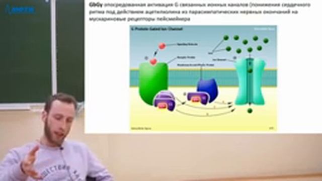 Лекция от 26 марта 2020 года смотреть онлайн