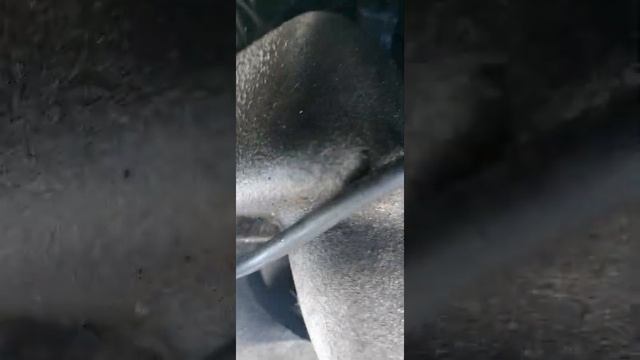 Зарядка на понтиак смотреть онлайн