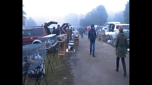 Выставка Кропоткин 29 09 2019 /ярмарка